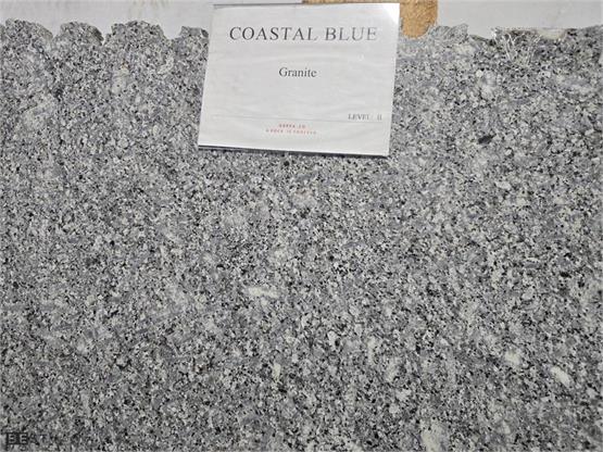 Coastal Blue pol/leather